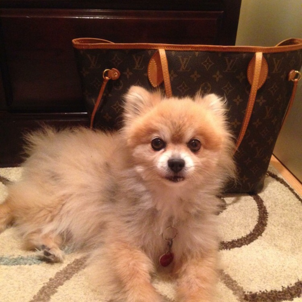 Meet your Posher, Maria